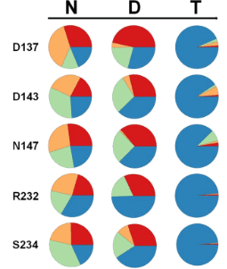 Evaluating the performance of targeted sequence capture, RNA-Seq, and degenerate-primer PCR cloning for sequencing the largest mammalian multigene family.